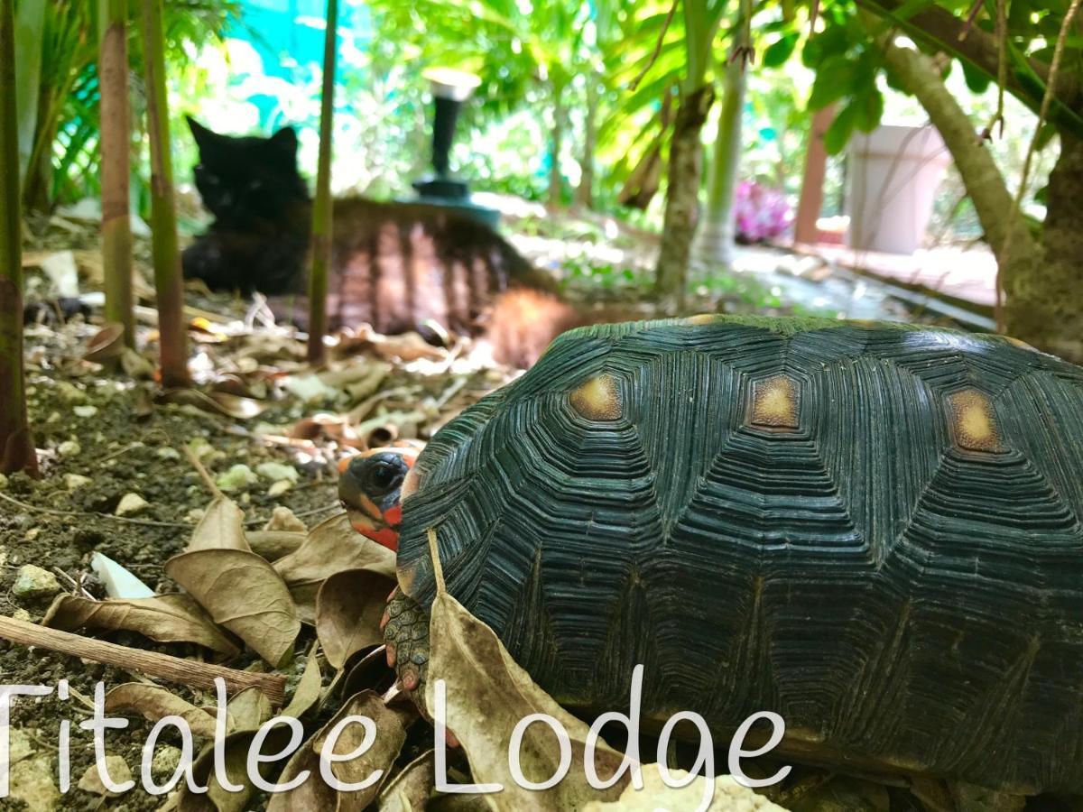 Titalee Lodge 3 Villas Autour D'Une Piscine Saint-Francois  Eksteriør bilde